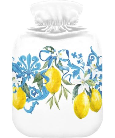 NAANLE Antique Watercolor Lemon Heat Bottle - 2L Transparent Hot Water Bottle for Bed Hand & Feet - Pain Relief & Heat Therapy - Buy Online on GoSupps.com