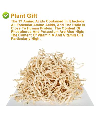 Buy 100% Organic Dried Papaya - 30g Natural Herbs for Digestion Enzymes | DRIDDADA - Buy Online on GoSupps.com