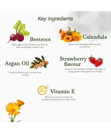 JP Nourishing Lip Balm with Beetroot Shea Butter & Vitamin E | 12-Hour Hydration for Dry & Chapped Lips | Mildly Tinted for Soft Glossy Lips |Sulphate & Paraben Free Suitable for All Skin Types 5g - Buy Online on GoSupps.com