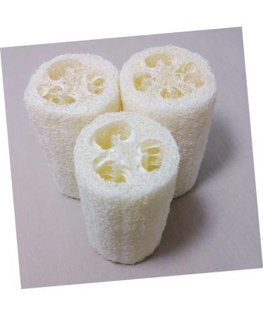 Buy FOMIYES 10 Pcs Natural Loofah Sponge Set for Kitchen & Bath - Eco-Friendly Cleaning & Massage | Best Bath Pouf & Washing Up Sponge - Buy Online on GoSupps.com