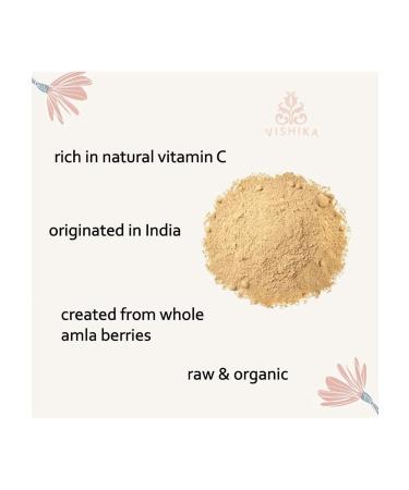 VISHIKA - best Amla Powder -Immune Support Vitamin C for Immune System Vegan Kosher Ayurvedic Superfood Antioxidants Non-GMO Amla Powder Organic 100 Gram - Buy Online on GoSupps.com