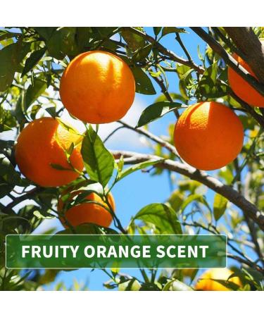 KitaMa Orange Aroma Massage Oil 5000ml - Nourishing Body Care & Relaxation Oil for Massages - Buy Online on GoSupps.com