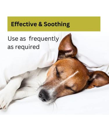 Nature's Greatest Secret Antibacterial Soothing Premium Quality Colloidal Silver Petcare Cream 100g - Buy Online on GoSupps.com