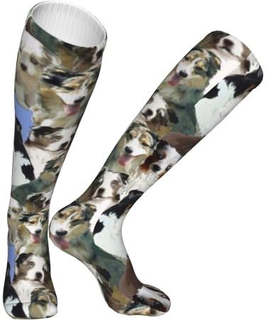 Australian Shepherd Compression Socks for Men & Women | 15-20 mmHg Support for Running & Cycling - Buy Online on GoSupps.com
