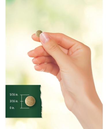 Carlyle Ginkgo Biloba | 200 Vegetarian Tablets | Extra Strength | Non-GMO Gluten Freen Formula | by Tahoe Nutritionals 200 Count (Pack of 1) - Buy Online on GoSupps.com