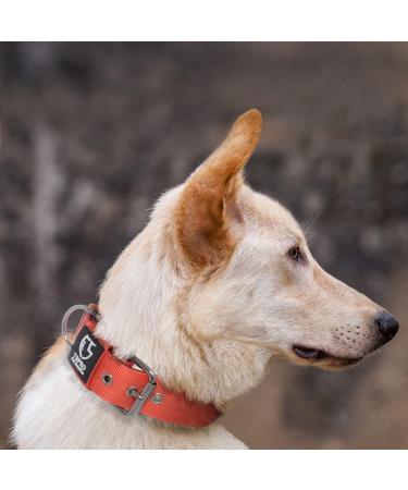 TSPro Tactical Dog Collar 1.5 Wide Military Grade Heavy Duty Metal Buckle Orange Size L (20-23 / 52-60cm) - Adjustable Strong Thick Dog Collar - Buy Online on GoSupps.com