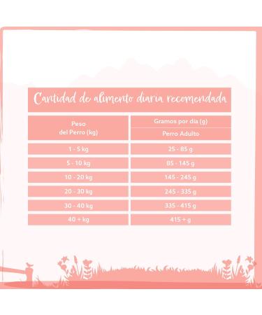 Wild Animal Premium Dry Dog Food Salmon with Trout Sweet Potato and Asparagus Grain Free Pack of 1 (1 x 6 kg) - Buy Online on GoSupps.com