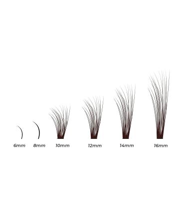 MAEXUS 160PCS False Eyelash Clusters Extensions | DIY Individual Lash Extensions - Bottom Lashes | 20D 0.07C 10-16mm MIX - Buy Online on GoSupps.com