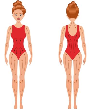 Stephanie Franck Beauty Dry Brushing Body Brush - Eco-Friendly Tampico Fiber & Horse Hair - Peeling & Firming Skin - Plastic-Free Made in Germany - Buy Online on GoSupps.com