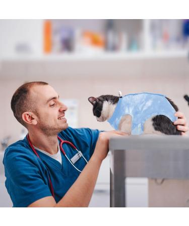 Lianzimau Katzenbody: Medical Cat Suit for Post-Operation Recovery | Anti-Losing Light Blue Clothing for Cats - Buy Online on GoSupps.com