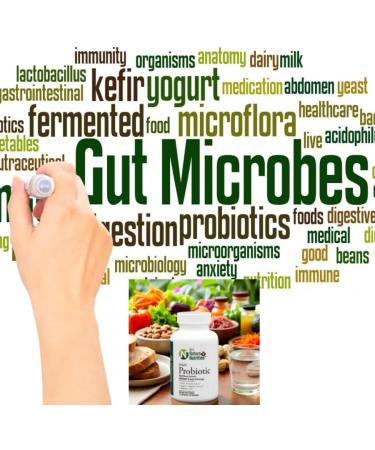 Dr's Nature & Nutrition Probiotic 60 Billion CFU Several Clinically Studied Strains Digestive & Immune Support 60 Veggie Capsules - Buy Online on GoSupps.com