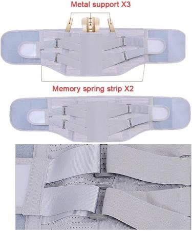 Back Support Belt for Men & Women - Breathable Lumbar Spine Bandage for Pain Relief - Sciatica & Disc Support - Size L (Gray) - Buy Online on GoSupps.com