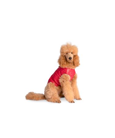 Selente Paw Parade Waterproof dog coat/rain jacket/winter coat for small and medium -sized dogs with fleece lining (made in EU) raspberry size.6 6 raspberry