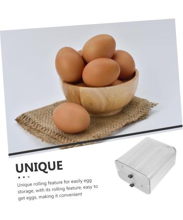 Refrigerator Organizer Tray Container Kitchen Countertop Storage Holder Large -layer Egg re-usable - Buy Online on GoSupps.com