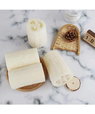 Organic Eco-Friendly Loofah Dish Sponge - Natural Kitchen Scrubber for Cleaning - Buy Online on GoSupps.com