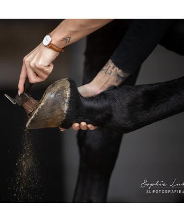 Animalon Natural Bristles Hoof Scraper & Brush | Ergonomic 2-in-1 Stainless Steel Tool for Horse Hoof Care | Brown Outdoor Huf Clearer - Buy Online on GoSupps.com