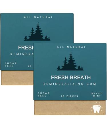 Underbrush Remineralizing Gum Underbrush Remineralizing Chewing Gum Organic Mastic Mint Miracle and Cinnamon Gum CubesRemineralizing Chewing Gum Remineralizing Chewing Gum - Buy Online on GoSupps.com