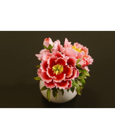 Buy Decorative Magic24 Professional Flower Paste 500g - Edible Sugar Paste in 11 Colors for Perfect Flowers & Decorations - Coral Red - Buy Online on GoSupps.com