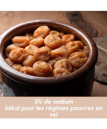 Umeboshi Japanese Honig-eingelegte Umeboshi Gross. Nanko Ume Pflaumen eingelegte Pflaumen Japan hergestellt in Japan 14.1 U - Buy Online on GoSupps.com