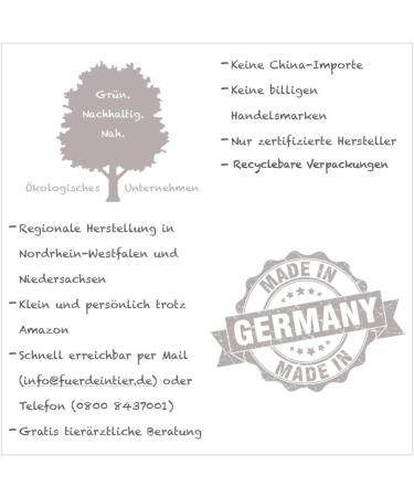 CaniMove 300 Capsules - Cardio Mini Supplement for Dogs | Supports Heart Function | Buy Online Internationally - Buy Online on GoSupps.com