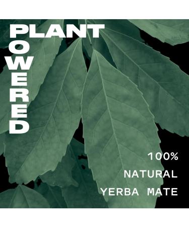Yate Sparkling Yerba Mate - Original Golden | Organic Yerba Mate Tea - Low Calorie Natural Energy Drink (12 Pack - Buy Online on GoSupps.com