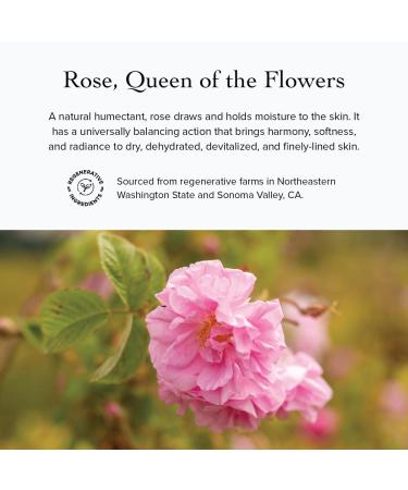 evanhealy Rose Trinity Beauty Elixir | Organic Natural Humectant Rejuvenating & Smoothing Facial Oil | Minimize Fine Lines & Wrinkles - Buy Online on GoSupps.com