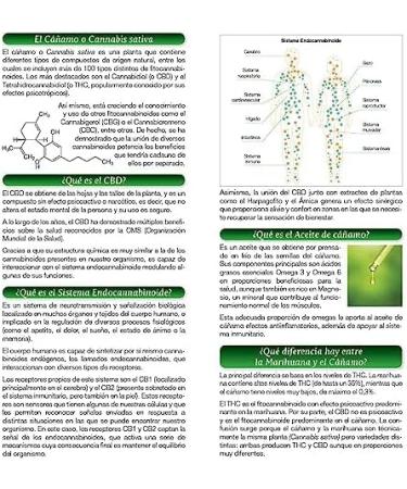 Cannabiben Gel 200ml with CBD Feel the relief. - Buy Online on GoSupps.com