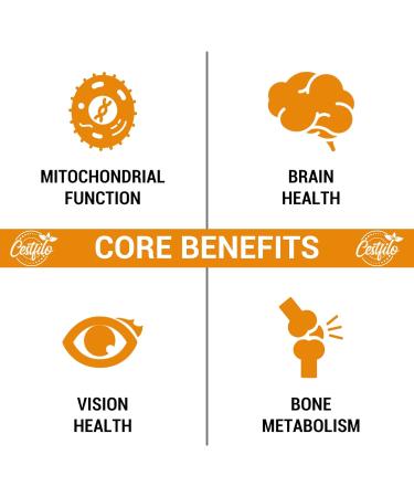 Ubiquinol CoQ10 600mg Softgels - Active Form of CoQ10 Plus Vitamin E & Omega 3 6 9 - Advanced Antioxidant Coenzyme Q10 Supplement for Heart & Brain (60 Count) - Buy Online on GoSupps.com