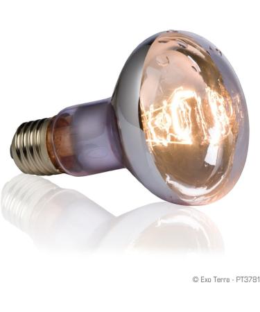 Exo Terra Swamp Basking Spot Bulb 75 Watt - Buy Online on GoSupps.com