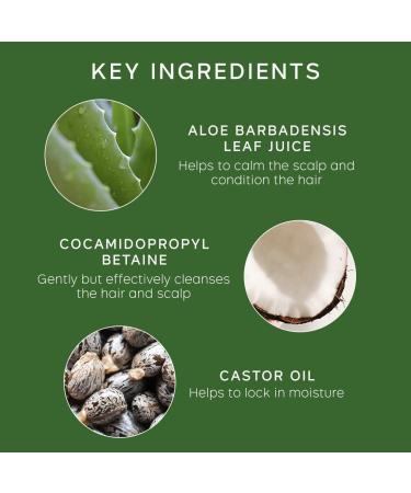 PHILIP KINGSLEY Flaky Scalp Shampoo - Cleansing Scalp Care for Dry, Oily Scalps - Soothes and Calms - 8.45 Fl Oz - Buy Online on GoSupps.com