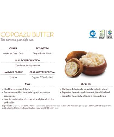 Buy Organic Raw Cupua u Butter 1lb (454g) - 100% Pure Fair Trade from Peru - 16 Ounce - Best for Skin & Hair Care - Buy Online on GoSupps.com
