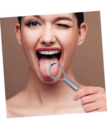 FRCOLOR 8 Pcs Stainless Steel Scraper Brush - Premium Cleaning Supplies for Stainless Steel Care | International Shipping Available - Buy Online on GoSupps.com