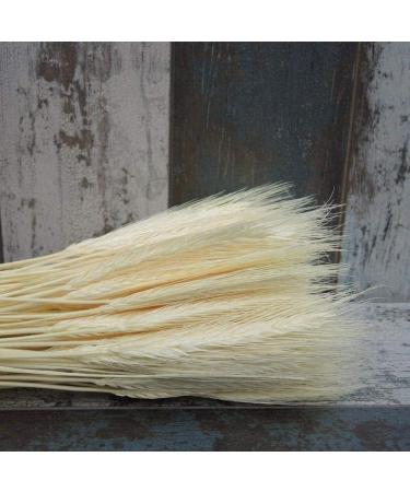 25pcs Colorful Natural Dried Flowers Bouquet Wheat Plants Bunches New Year Craft Wedding Chrismas Decor Decoration Beige 25pcs - Buy Online on GoSupps.com