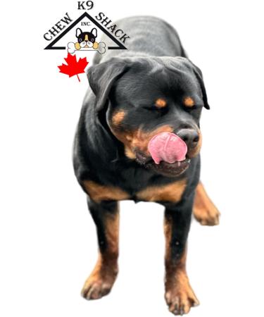 Bully Sticks - Low Odour - **12" Standard - 10 Pack Minimum** - Premium Single Ingredient Dog Chew - 100% Beef - All Natural/Organic - Dental Care - Rawhide Free - Buy Online on GoSupps.com