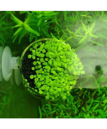 Capetsma Crystal Glass Aquatic Plant Pots - 2 Pack Aquarium Planter for Red Shrimp, Live Plants, Fish Tank - Suction Cups for Aquascape Decoration - Buy Online on GoSupps.com