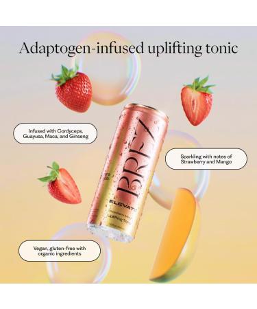 BR Z ELEVATE Cordyceps Mushroom Drink Non-Infused Uplifting Tonic with Cordyceps Guayusa Maca & Ginseng Vegan Adaptogen Drink for Focus Drive & Mental Clarity Strawberry Mango 12 fl oz 8 Pack Elevate 8 Pack - Buy Online on GoSupps.com