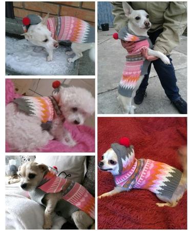 Buy Hrttsy Christmas Dog Sweater - Winter Warm Pullover for Small Medium & Large Dogs - Cozy Pet Coat & Costume - Buy Online on GoSupps.com