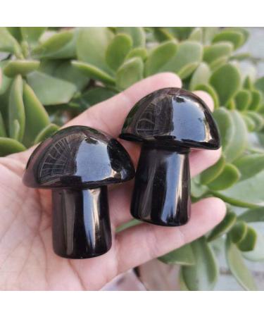 Natural Black Obsidian Mushroom Hand Carved Stone Mushroom for Home Decoration (Color : 1pc) - Buy Online on GoSupps.com