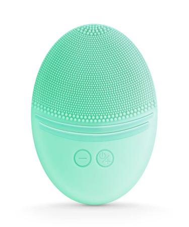 EZBASICS Facial Cleansing Brush made with Ultra Hygienic Soft Silicone  Waterproof Sonic Vibrating Face Brush for Deep Cleansing  Gentle Exfoliating and Massaging  Inductive charging Mint Green
