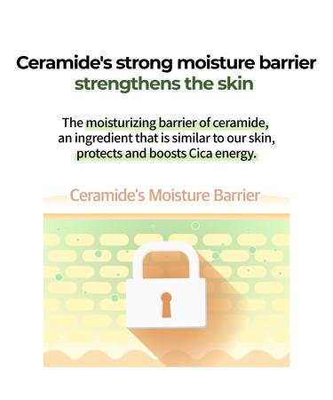 numbuzin No.2 Cream Cica Ceramide Repair Cream deep Moisturizing All Skin Types - 2.02 floz - Buy Online on GoSupps.com