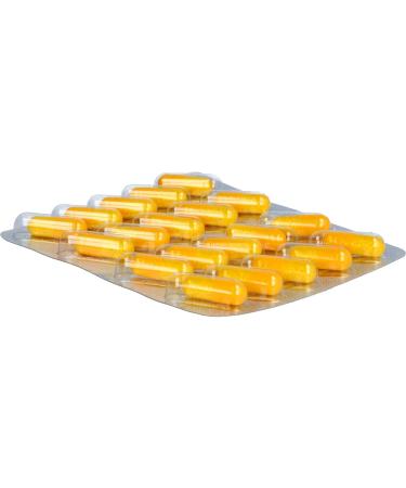 Cetebe Vitamin C Retard 500 - High-Dose Long-Lasting Vitamin C - 180 Retard Capsules for Immune Support | International Shipping Available - Buy Online on GoSupps.com