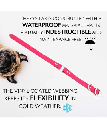 Regal Dog Products Waterproof Halfband Collar for All Sizes - Pink Dog Collar for Puppies Medium & Large Dogs - Buy Online on GoSupps.com