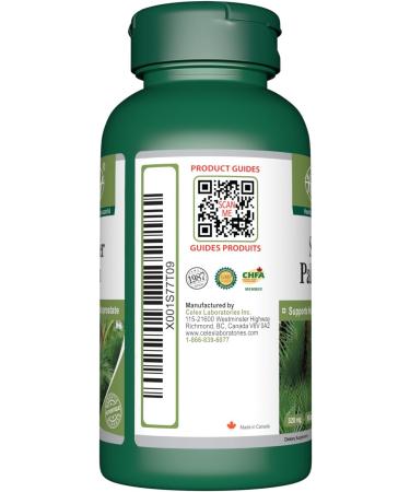 VORST Saw Palmetto Extract 8:1 320mg (2560mg raw herb) 3 X 90 Capsules | Supplement for Prostate Health Incontinence Support Pills DHT Blocker Hair Loss Treatment for Men Urinary Health | Powder Pills | 1 Bottle 270 count (Pack of 1) - Buy Online on GoSupps.com