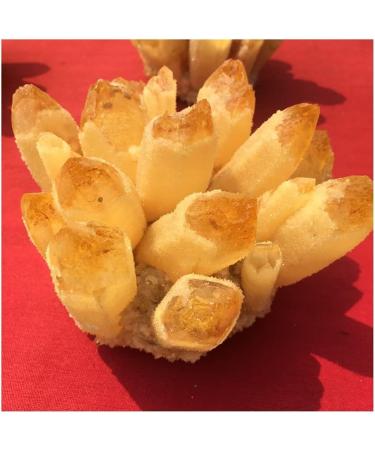 400-800g Natural Yellow Ghost Phantom Quartz Crystal Cluster Specimen Home Decoration Office Living Room Crystal Decora kaixun (Size : 600-700g) - Buy Online on GoSupps.com