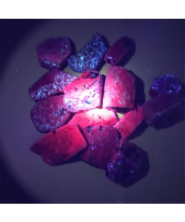 100g Natural Real Red Corundum Ruby Natural Stone for Making Jewelry Large Rough Gemstone Specimen Crystal Home Decor Raw Stones and Minerals Reiki Crystal Stone (Color : 2-4cm Size : 100g) 100g 2-4cm - Buy Online on GoSupps.com