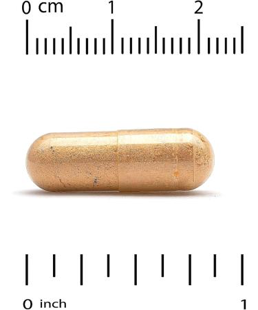 Lake Avenue CoQ10 Ubiquinone Supplement - Gluten Free Non-GMO - 100 mg | 360 Veggie Capsules for Antioxidant Support - International Shipping Available - Buy Online on GoSupps.com