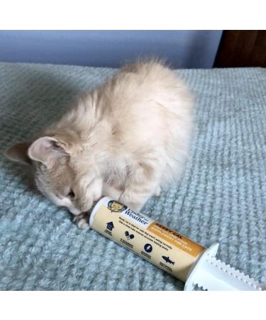 Under the Weather Ready Cal for Cats & Dogs | High Calorie Nutritional Supplement | 9 Vitamins 7 Minerals Fatty Acids | Promotes Weight Gain & Appetite | 100cc - Buy Online on GoSupps.com