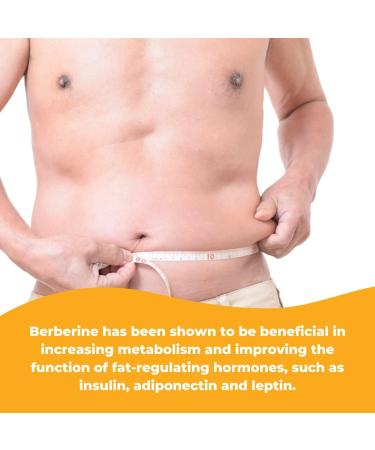 Wonder Laboratories Surperior Absorption Berberine HCL 1 500mg + Cinnamon Chromium and BioPerine Maintenance for Glucose Heart & Immune System Health Gluten & GMO Free - 120 Capsules 120 Count (Pack of 1) - Buy Online on GoSupps.com