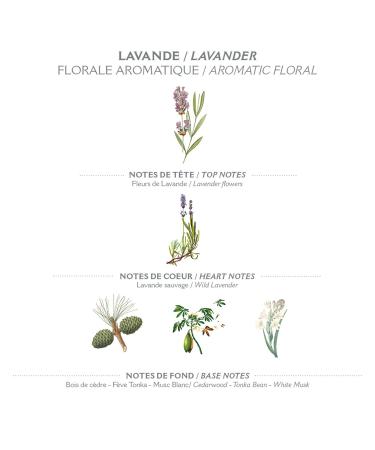 Panier des Sens Lavender Shower Gel - 96% Natural Body Wash - Made in France - 8.45 Floz/250ml - Buy Online on GoSupps.com