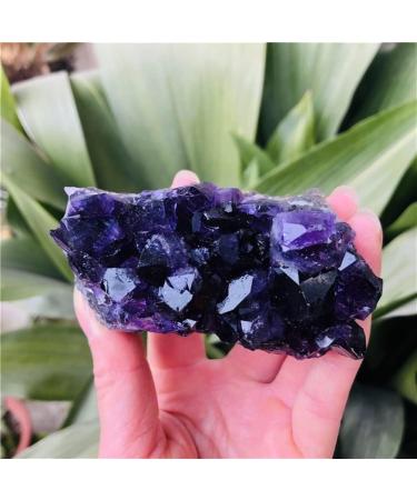 Natural Crystal Rough Home Decor Natural Dream Amethyst Quartz Crystal Cluster Specimen Gifts Natural Crystal Raw Stones and Minerals (Color : 70-80g Size : 3pc) (Color : 90-100g Size : 5pc) 5pc 90-100g - Buy Online on GoSupps.com